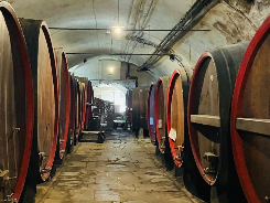 cellar 1